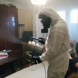 Дезинфекция от клопов в Боровске